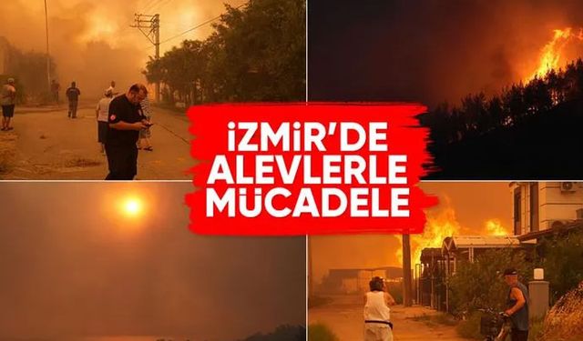 İzmir'de ormanlık alanlarda çıkan yangınlara müdahale ediliyor