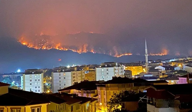 Sakarya'daki orman yangını Bilecik'e sıçradı