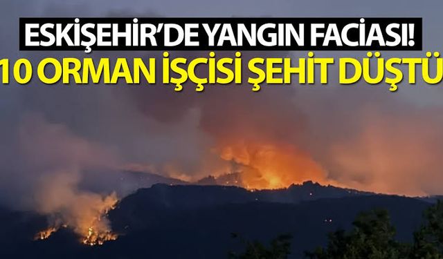 Eskişehir'de 10 orman işçisi şehit oldu