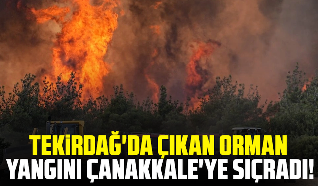 Tekirdağ'da çıkan orman yangını Çanakkale'ye sıçradı!