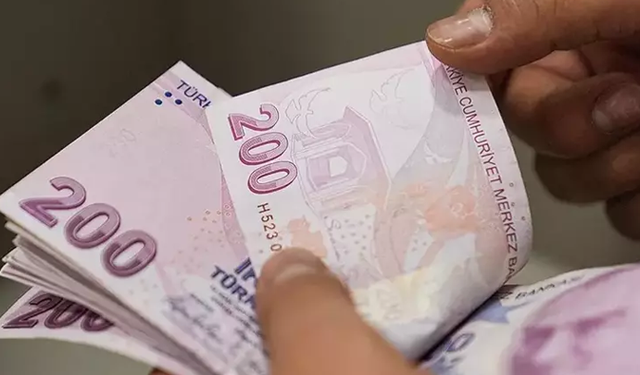 Temmuz ayı Sosyal ve Ekonomik Destek ödemeleri hesaplara yatırıldı