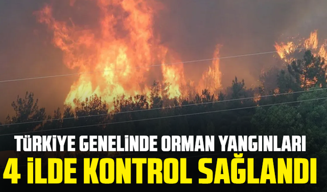 Türkiye genelinde orman yangınları: 4 ilde kontrol sağlandı