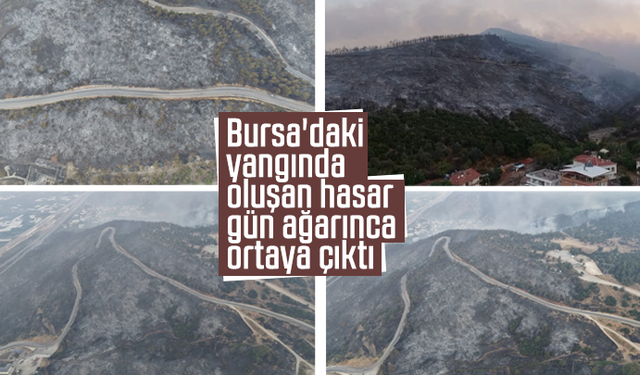 Bursa'daki yangında oluşan hasar gün ağarınca ortaya çıktı