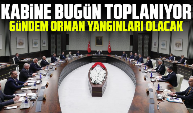 Kabine bugün toplanıyor: Gündem orman yangınları olacak
