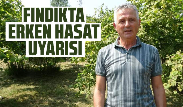 Fındıkta erken hasat uyarısı