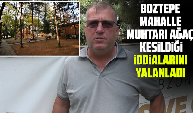 Boztepe Mahalle Muhtarı ağaç kesildiği iddialarını yalanladı