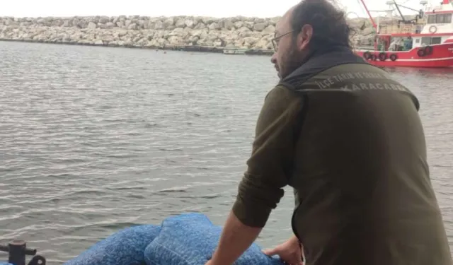 Bursa’da avcılığa açık kum şırlanı ve kara midye alanları belirlendi