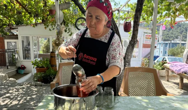 Türkiye'nin ilk reçel festivali... Bornova'da 50 çeşit reçelle buluşulacak