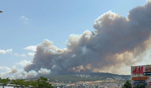 Çanakkale'deki orman yangını çok büyük boğaz kapatıldı üniversite boşaltıldı