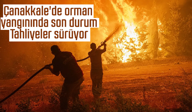 Çanakkale'de orman yangınında son durum: Tahliyeler sürüyor