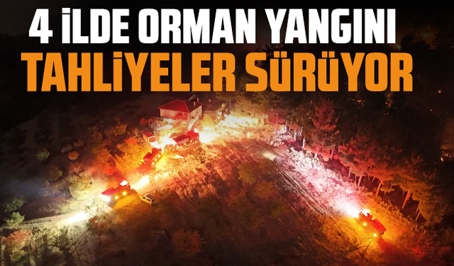 4 ilde orman yangını: Tahliyeler sürüyor