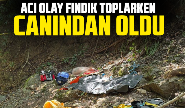 Acı olay fındık toplarken canından oldu