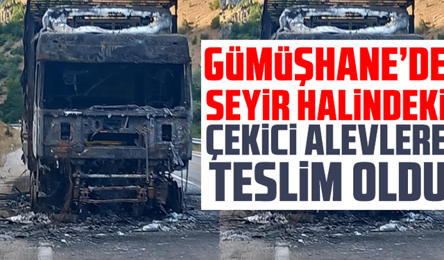 Seyir halindeki çekici alevlere teslim oldu