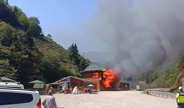 Giresun’un gözde tabiat parkında yangın felaketi