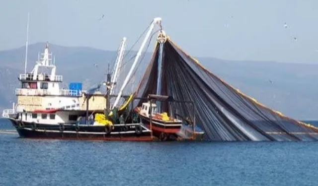 Balıkçılara dev destek! Balıkçılık gemi sayısı yüzde 65 arttı