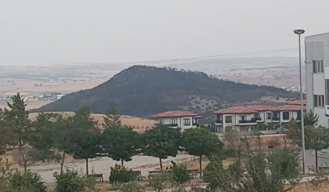 Keşan Sivritepe’den yeniden yeşillendirme çağrısı
