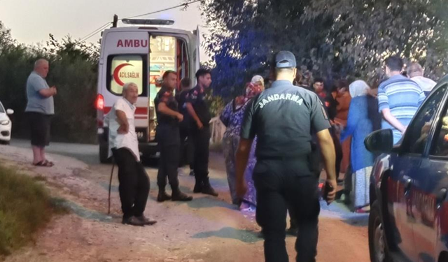 Ordu'da virajı alamayan patpat devrildi: 2'si çocuk 6 yaralı