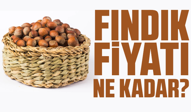 Fındık fiyatı ne kadar?