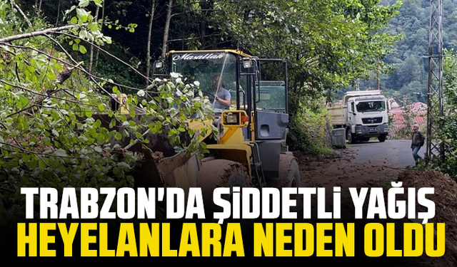 Trabzon'da şiddetli yağış heyelanlara neden oldu