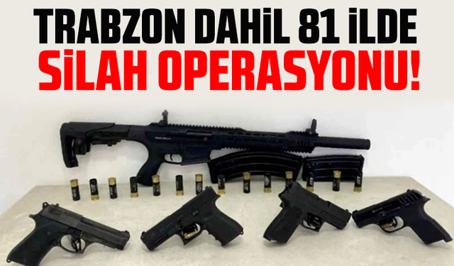 Trabzon dahil 81 ilde silah operasyonu!
