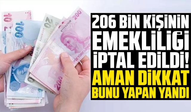 206 bin kişinin emekliliği iptal edildi! Aman dikkat bunu yapan yandı