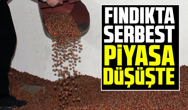 Fındıkta serbest piyasa düşüşte