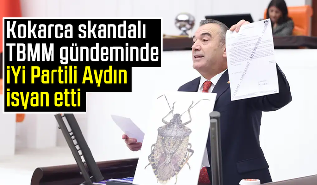 Kokarca skandalı TBMM gündeminde: İYİ Partili Aydın isyan etti