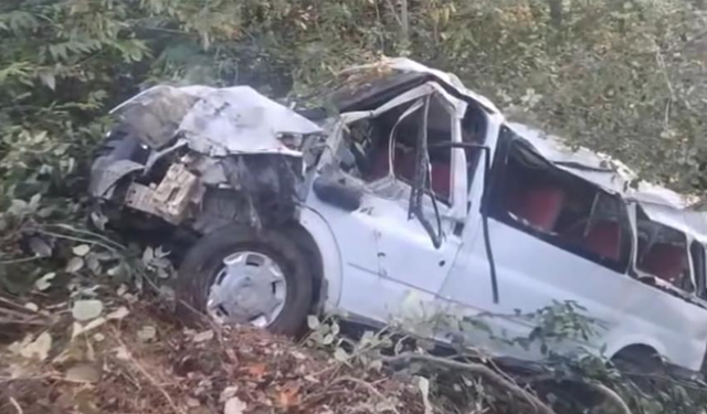 Ordu'da minibüs şarampole devrildi: 11 yaralı