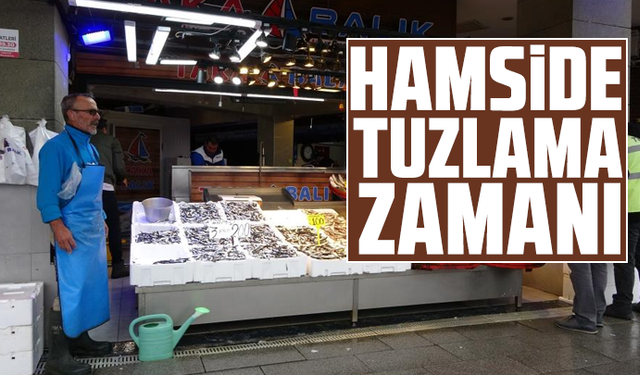 Hamside tuzlama zamanı