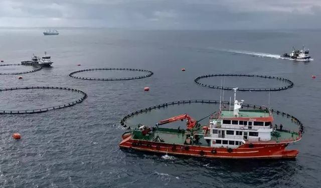 Karadeniz su ürünleri ihracatından 9 ayda 278,7 milyon dolarlık kazanç