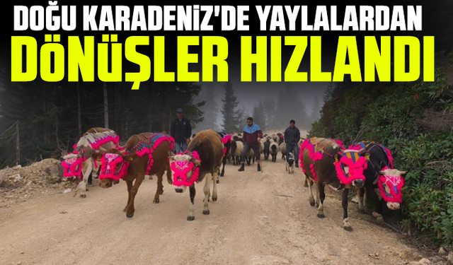 Doğu Karadeniz'de yaylalardan dönüşler hızlandı