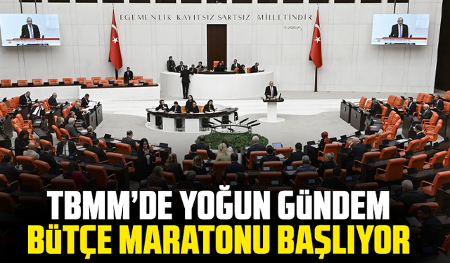 TBMM’de yoğun hafta: Komisyon toplantıları ve bütçe görüşmeleri gündemde