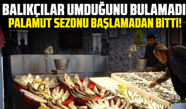 Balıkçılar umduğunu bulamadı: Palamut sezonu başlamadan bitti!