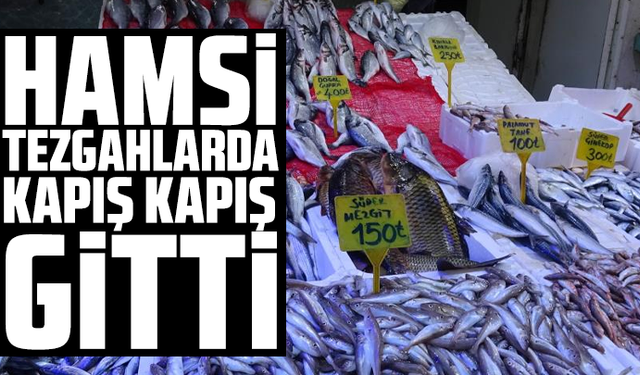 Hamsi Tezgahlarda kapış kapış gitti