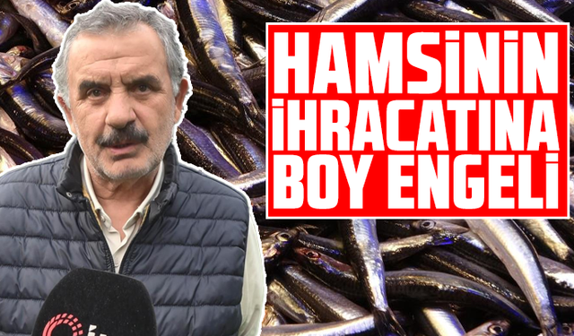 Hamsinin ihracatına boy engeli