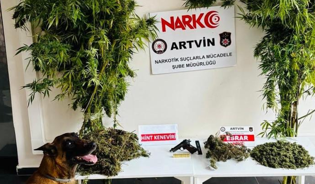 Artvin’de uyuşturucu operasyonu: 5 gözaltı