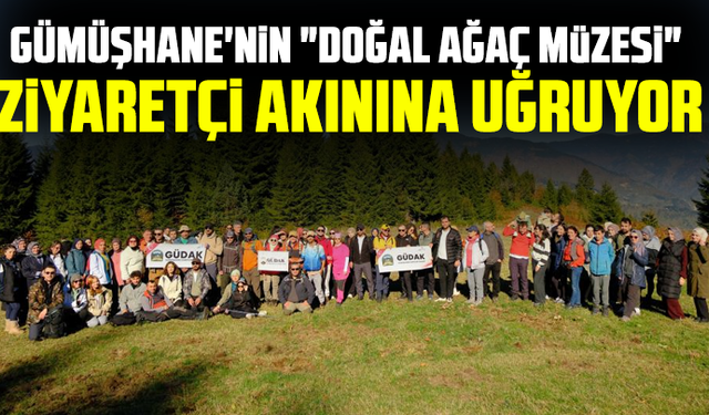 Gümüşhane'nin "Doğal Ağaç Müzesi" ziyaretçi akınına uğruyor