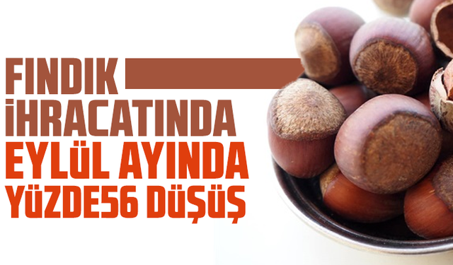 Fındık ihracatında Eylül ayında yüzde 56 düşüş