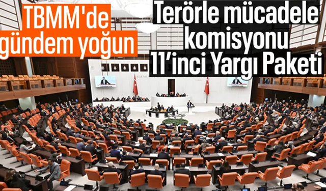 TBMM'nin yeni haftada gündemi yoğun