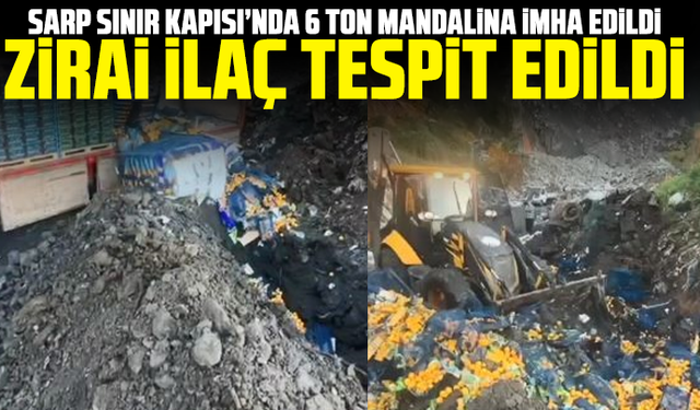 Sarp Sınır Kapısı’nda 6 ton mandalina imha edildi: Zirai ilaç tespit edildi
