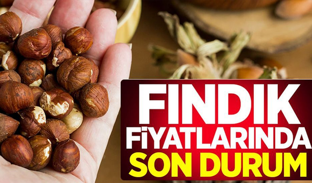 Fındık fiyatları tekrar yükselişe geçti