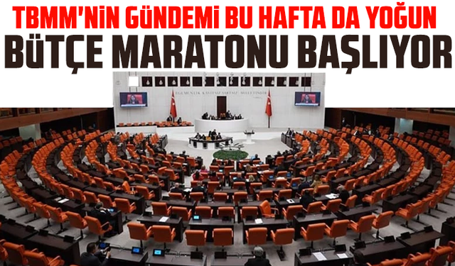 TBMM'nin gündemi bu hafta da yoğun: Bütçe maratonu başlıyor