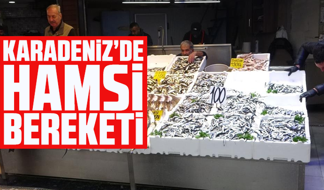 Karadeniz’de hamsi bereketi yaşanıyor