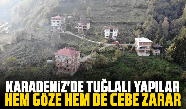 Karadeniz'de tuğlalı yapılar hem göze hem de cebe zarar