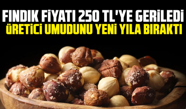 Fındık fiyatı 250 TL'ye geriledi, üretici umudunu yeni yıla bıraktı