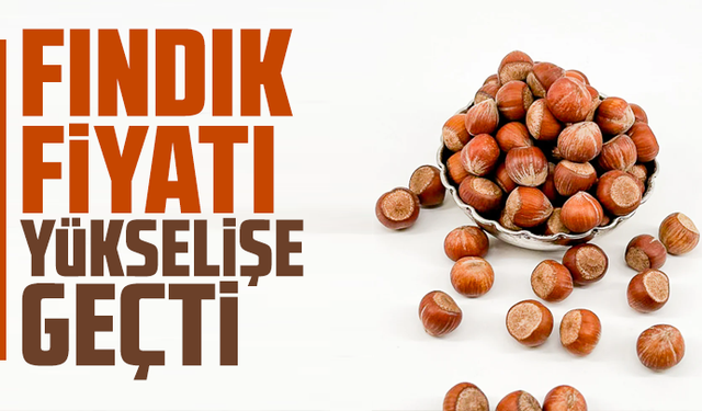 Fındık fiyatı yükselişe geçti