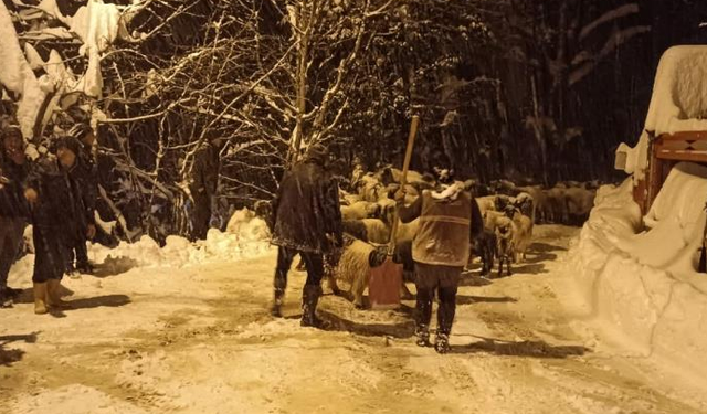 Giresun’da çığ: 1 kişi hayatını kaybetti