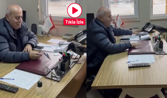 Trabzon'da belediye başkanının gülümseten karga diyaloğu