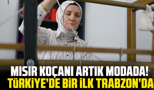 Mısır koçanı artık modada! Türkiye’de bir ilk Trabzon’da