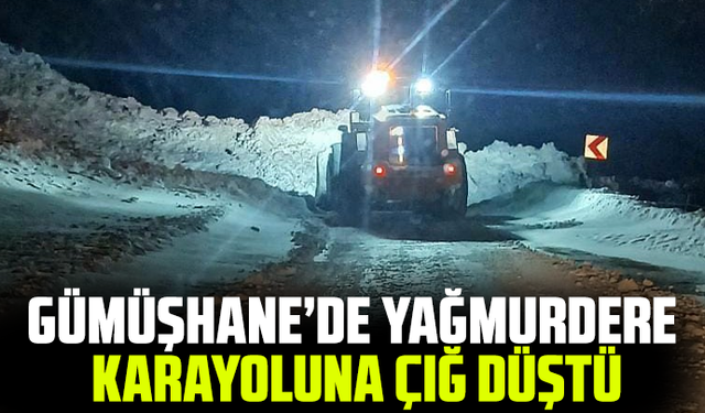 Gümüşhane’de Yağmurdere karayoluna çığ düştü